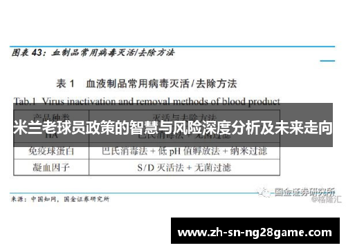 米兰老球员政策的智慧与风险深度分析及未来走向